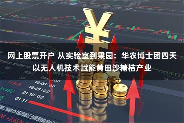 网上股票开户 从实验室到果园：华农博士团四天以无人机技术赋能黄田沙糖桔产业